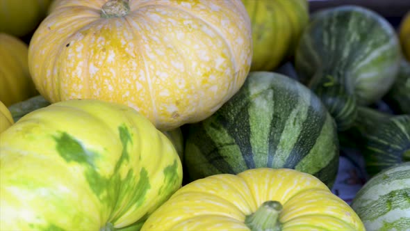 Zucchini and squash for sale at the free market, panoramic plan