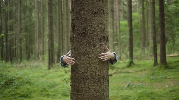 Arms Hugging a Tree In a Forest, Concept of Love and Care for Nature