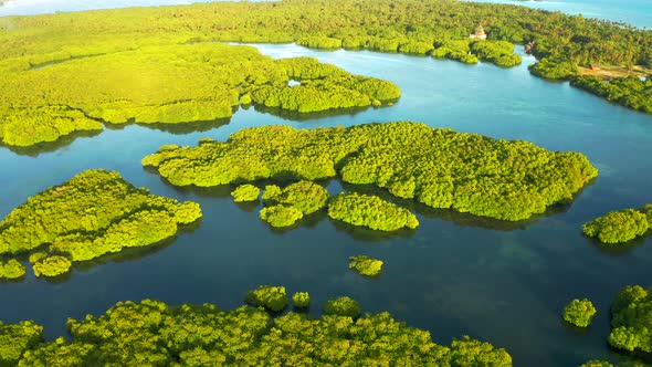 Aerial View of River in Rainforest, Latin America