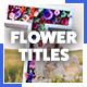 Flower Titles Animator - VideoHive Item for Sale