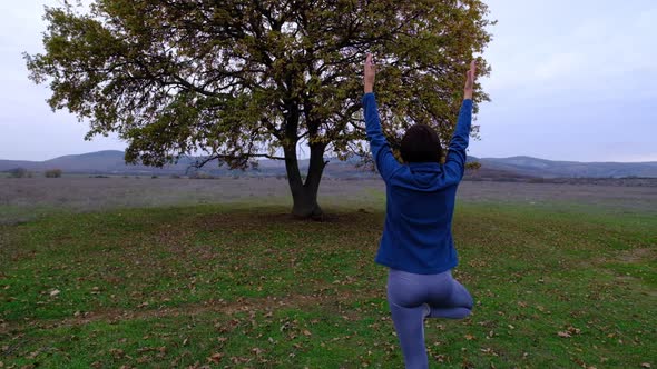 Silhouette Rear View of Woman Doing Yoga in Tree Pose Meditating on Field Near Old Oak