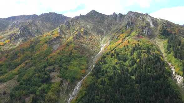 Colorful Mountain Plants in Approaching Autumn Season Colors