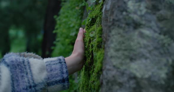 Female Hand Touch Green Rain Forest Moss on Tree