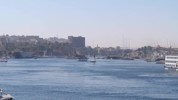 Birds flying around the Nile river with a view of the river and the city of Aswan, Egypt.