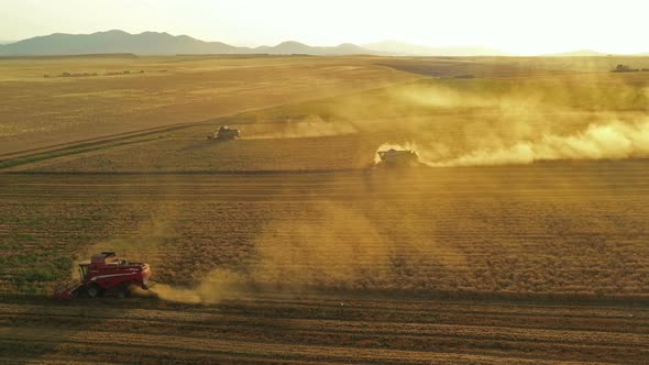 Running Harvesters At Sunset