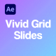 Vivid Grid Slides - VideoHive Item for Sale
