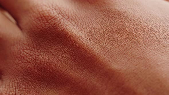 Black Skin Texture Closeup