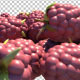 Drop Raspberries - VideoHive Item for Sale