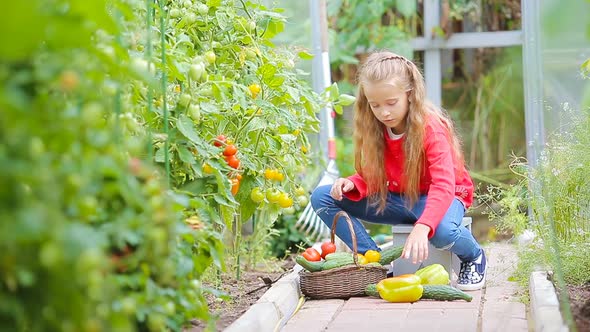 Adorable Little Girl Collecting Crop of Cucumbers, Pepers and Tomatoes in Greenhouse