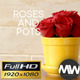 Roses and Pots (Pack of 6) - VideoHive Item for Sale