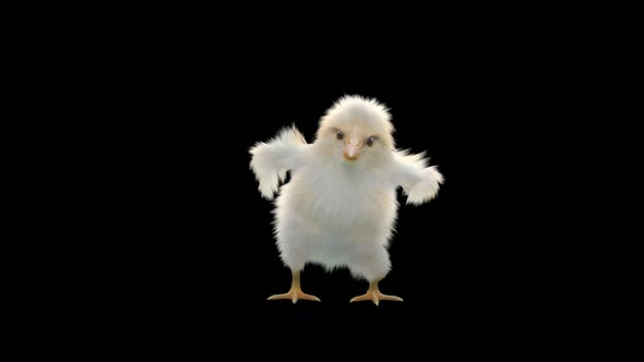 25 Baby Chicks Dancing 4K