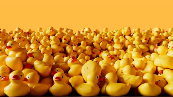 Animation of the pile of rubber ducks. A huge amount of cute yellow toys. Stacks