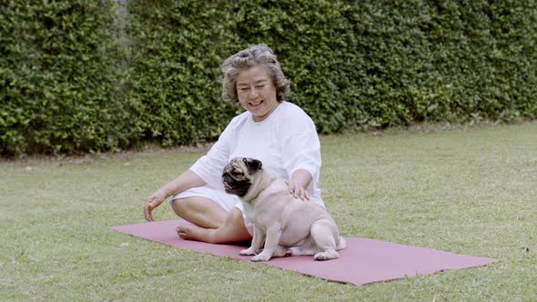 Asian Elderly woman play with dogs in the garden.