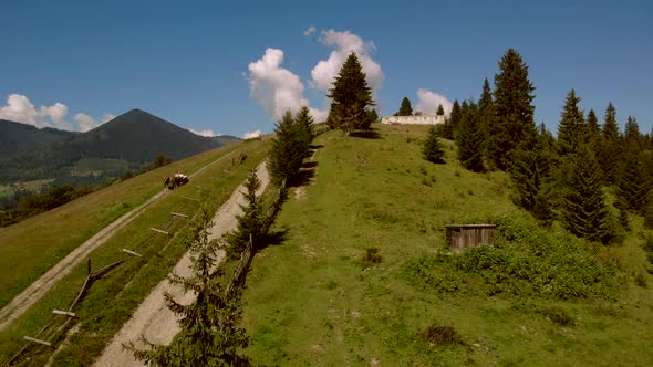 Grassy Meadow on Mountain in Summer