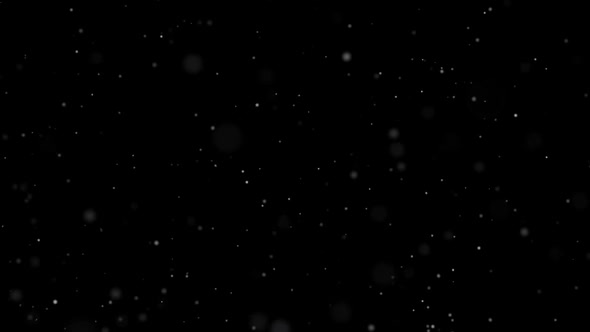 Dust Particles in Black Background. Abstract Background