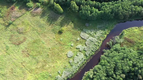 Aerial View From Drone on Summer Forest, Field and River