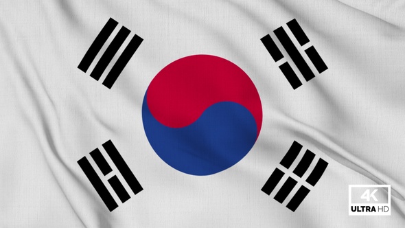 Korea South Flag Waving Slowly Looped