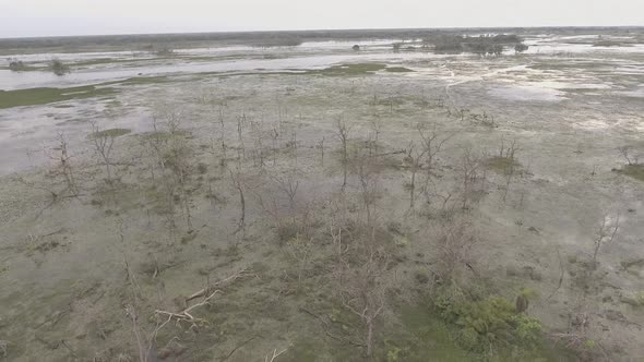 Aerial circular movement of dead trees at flooded areas