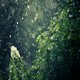 Light First Spring Rain in City Ambience