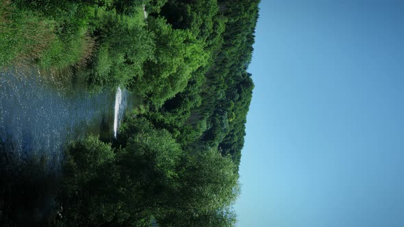 Mountain river in green forest.