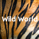 WildWorld | Nonprofit & Ecology WordPress Theme - ThemeForest Item for Sale