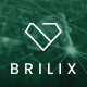 Brilix - Corporate Business & Consulting WordPress Theme - ThemeForest Item for Sale