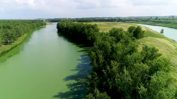 Summer Landscape alt