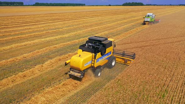 Aerial landscape of agriculture. Aerial view of several harvesters on field of wheat