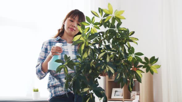 Happy Asian Woman Cleaning Houseplant at Home 52