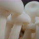 Shimeji mushrooms macro - VideoHive Item for Sale
