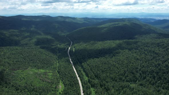 Winding Road in the West Siberian Taiga Ecoregion
