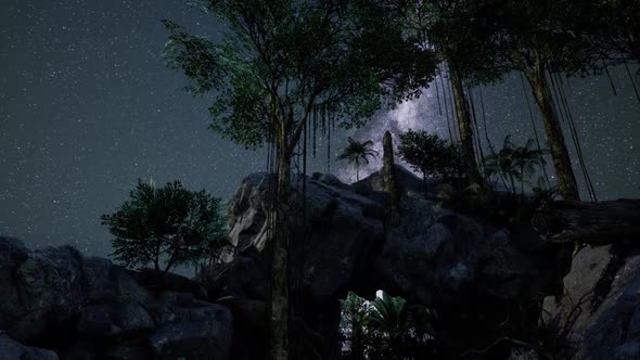 Hyperlapse Star Trails Over Sandstone Canyon Walls and Trees alt