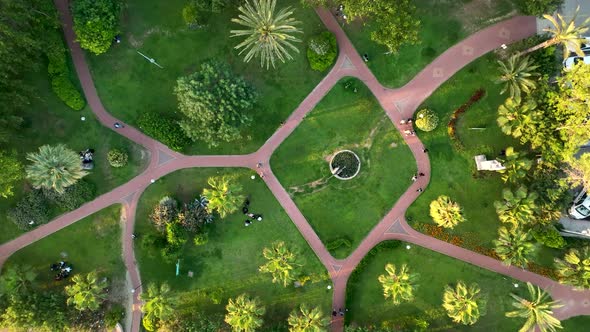 Landscaping in the park Alanya Turkey 4 k