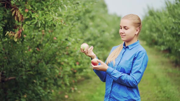 Woman Hand Picking an Apple