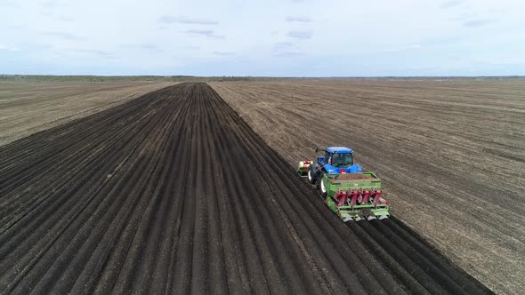 Aerial view of a blue tractor plant potatoes. 01