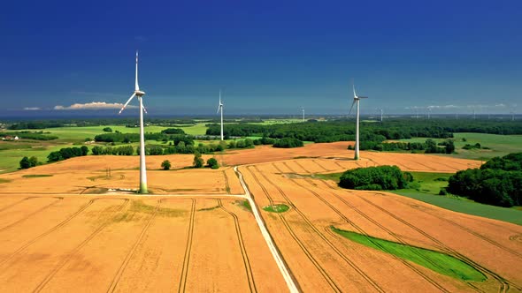 Wind turbines and golden field. Aerial view of nature.