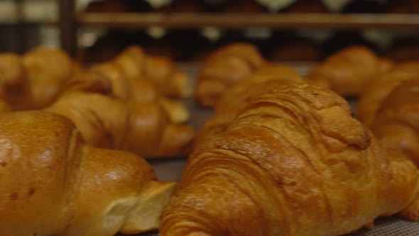 Delicious and Delicious Pastries Croissants Lie on a Tray. Confectionery Production, Background