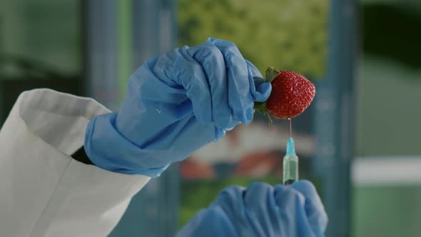 Vertical Video Closeup of Biologist Scientist Injecting Strawberry with Dna Liquid