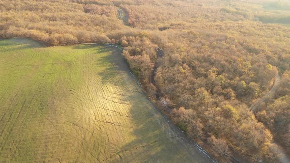 Aerial view of a white car driving through orange autumn countryside at sunse