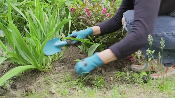 Closeup of Woman's Hand Working in Garden with Plants on Flowerbed