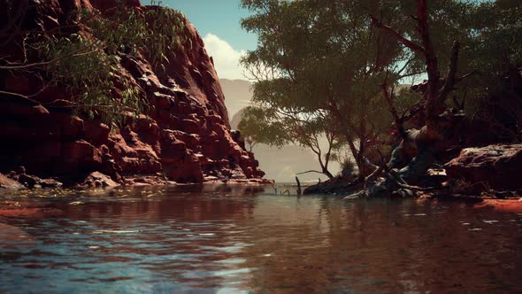 Colorado River Flows Through the Grand Canyon