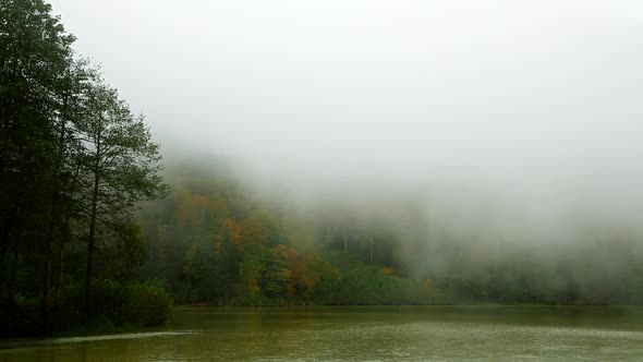 Lake In The Fog