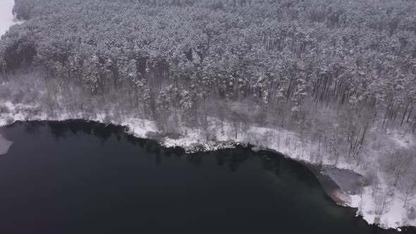 Winter Shore Of The Lake Near The Forest