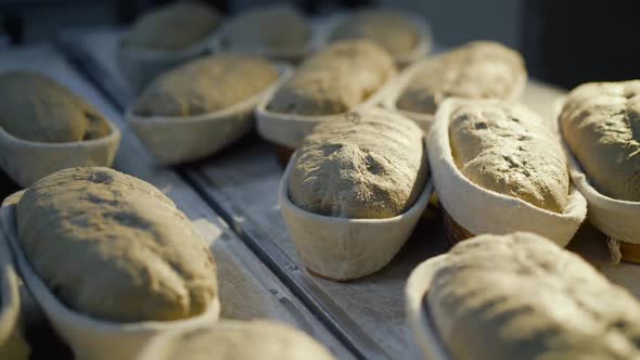 Close View of the Approached Organic Breads on Leaven in Forms on a Table