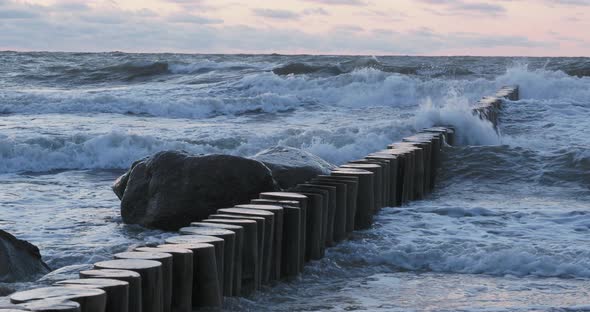 Breakwater of Larch Logs. Strengthening the Seashore To Keep the Sand on the Beach. Gorgeous Sunset