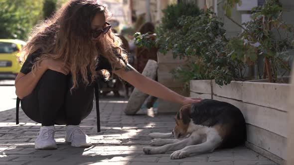 Girl with Long Curly Hair and Sunglasses Pets Homeless Dog