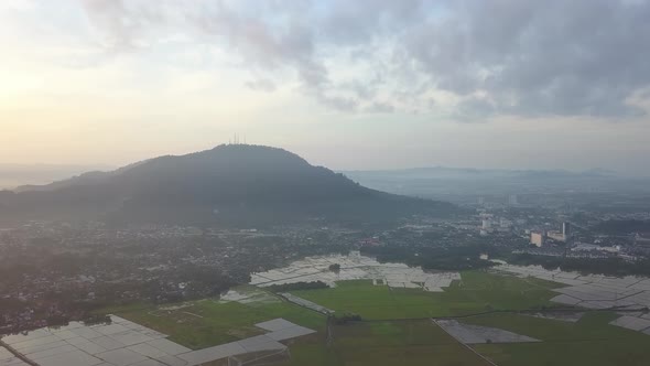 Bukit Mertajam town with green paddy field.