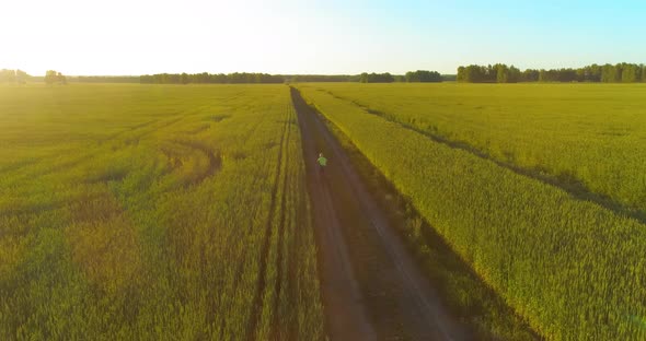 Aerial View on Young Boy, That Rides a Bicycle Thru a Wheat Grass Field on the Old Rural Road