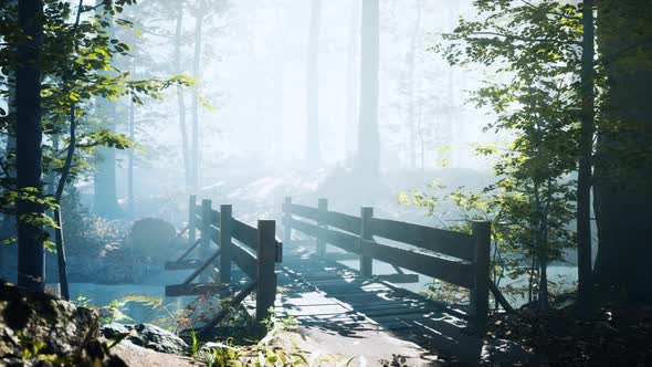 Wooden Bridge Into Forest with River