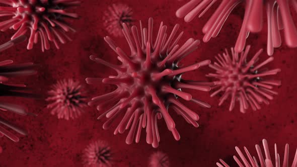 A Deadly Coronavirus Bacterium Under a Microscope